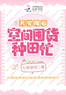 天灾降临:空间囤货种田忙txt