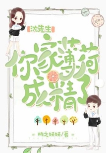 薄先生忙着追沈小姐