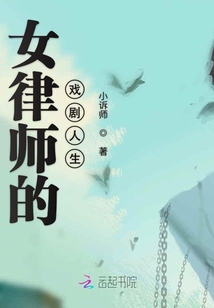 女律师的戏剧人生 小讼师