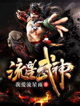 流星武神 小说