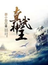 真武神王动漫免费观看