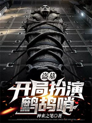盗墓鹧鸪哨小说