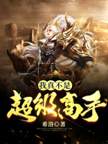 我真不是超级高手TXT