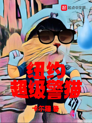 纽约超级警猫 小说