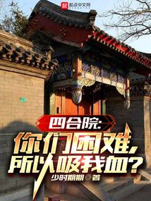 四合院一万一套你们还嫌贵小说
