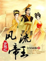 穿越之风流帝王小说