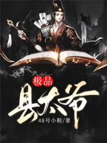 极品县太爷赵阳
