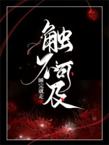 触不可及小说全文阅读
