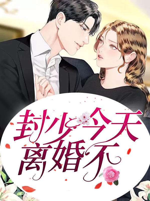 顾少今天离婚吗