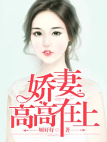 娇妻高高在上 全文免费阅读