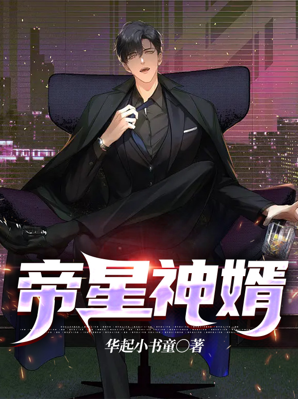 小说帝婿
