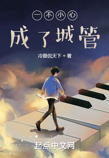 一不小心成了城管txt
