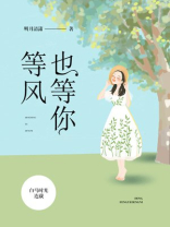 等风也等你讲的什么