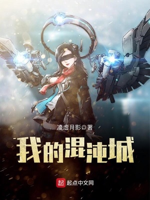 我的混沌城类似小说