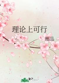 理论可行性怎么写
