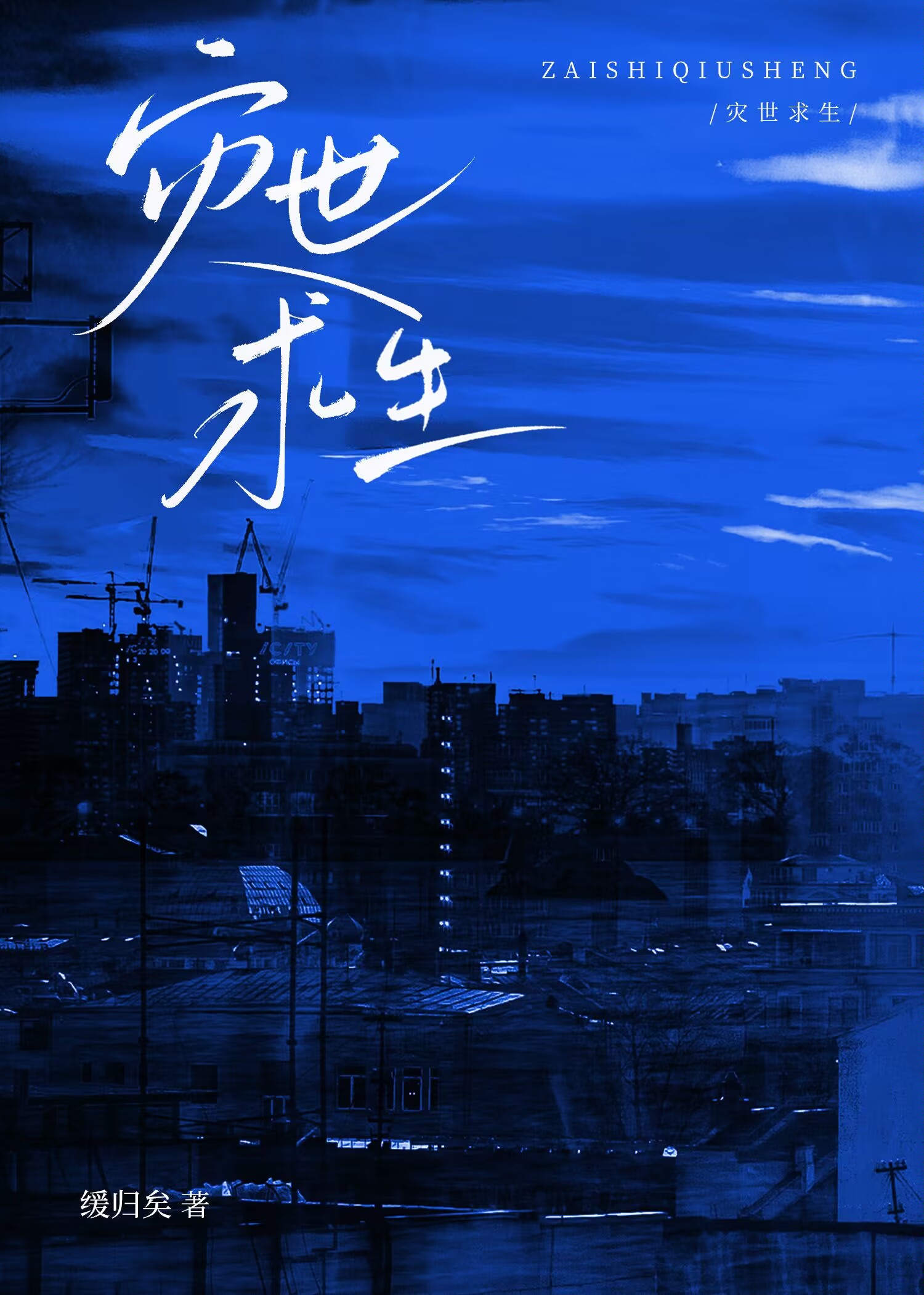 灾世求生作者:缓归矣
