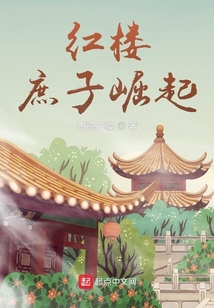 红楼:庶子崛起
