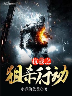 抗战之狙杀行动小说TXT下载精校版