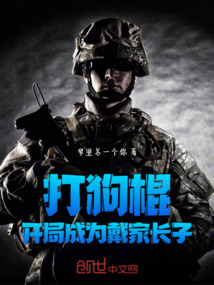 穿越打狗棍之系统小说