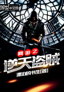 网游之逆天盗贼 漂泊的书生