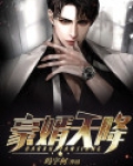 豪婿天降