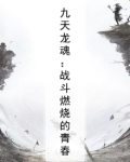 九天龙魂攻略