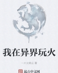 我在异界玩火 小说