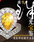 重生珠光宝鉴