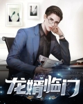 龙婿临门 小霸王