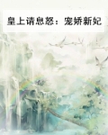 皇上请息怒：宠娇新妃