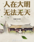 人在大明无法无天txt免费阅读
