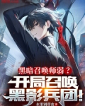召唤黑影兵团的都市小说