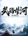 武踏星河txt