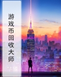 电玩城游戏币回收