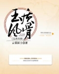 玉质风骨简介