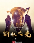 柏林之光 小说