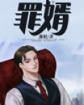罪婿电影