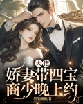 商大佬宠妻过度