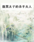腹黑太子的杀手夫人