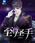至尊圣手林凡
