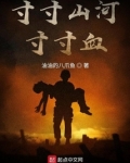 寸寸山河寸寸血全集免费下载