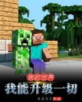 我的世界我能升级一切TXT下载