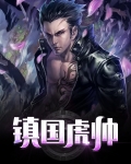 镇国虎帅