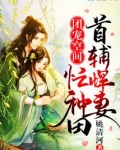 团宠空间：首辅悍妻忙种田
