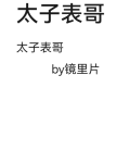 太子表哥镜里片小说