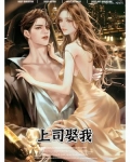 上司给我小说