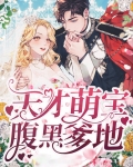 天才萌宝腹黑爹地安柔景北辰