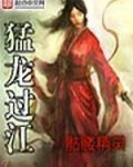 猛龙过江破解版
