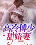 免费阅读傅少冷清娇妻