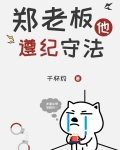 郑老板他遵纪守法小说免费阅读